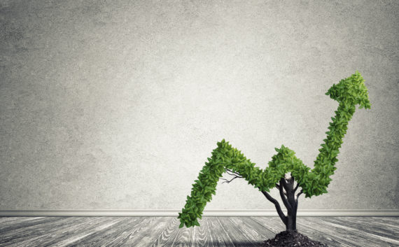 Right investment for getting income Market growth and success as growing green tree in shape of arrow